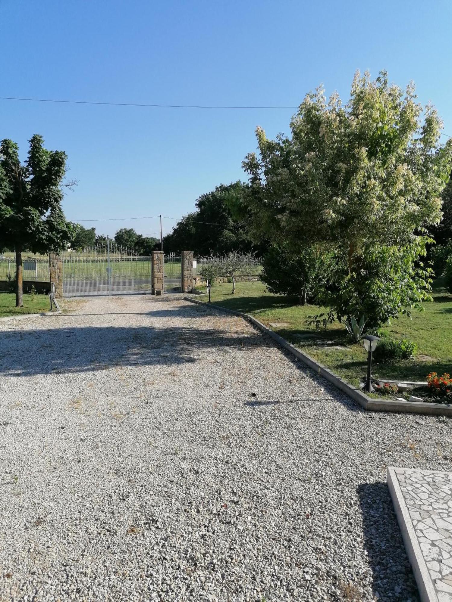 Il Boschetto Da Michael -Quercia Hotel Badia Al Pino Luaran gambar